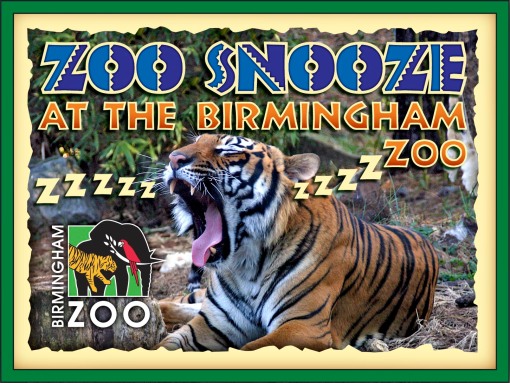 zoo20snooze